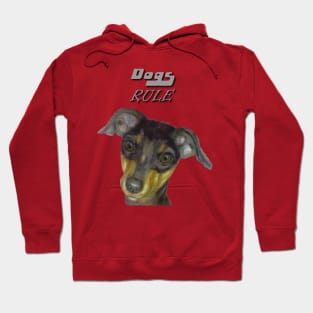 dogs rule Hoodie